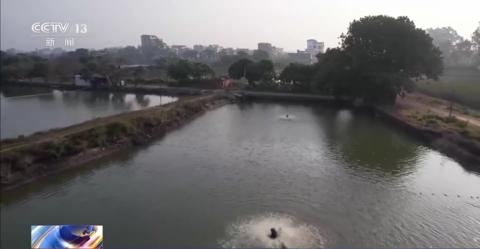 涉嫌骗取出口退税6千万该判几年,最新骗取出口退税案