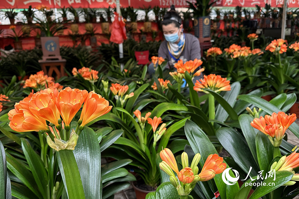 春天花“卉”开朵朵含情迎客来