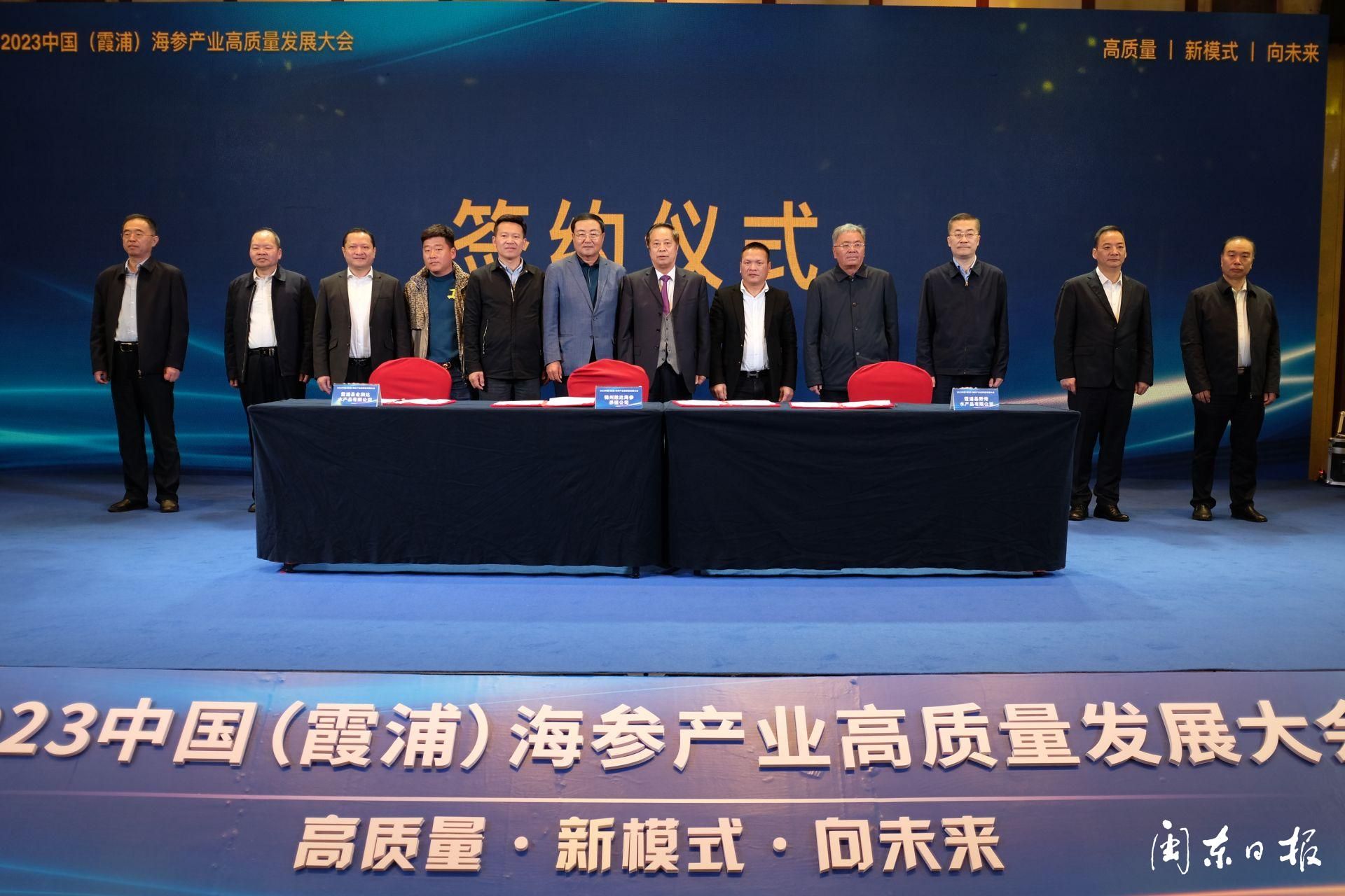 2023年霞浦海参前景,霞浦海参龙头企业