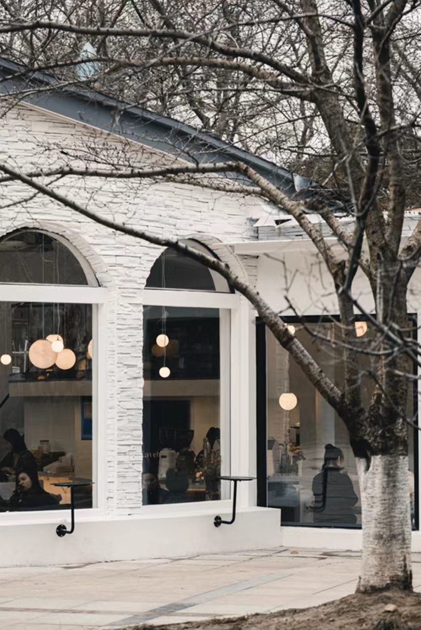 周末相约赏樱花,相约周末赏樱花