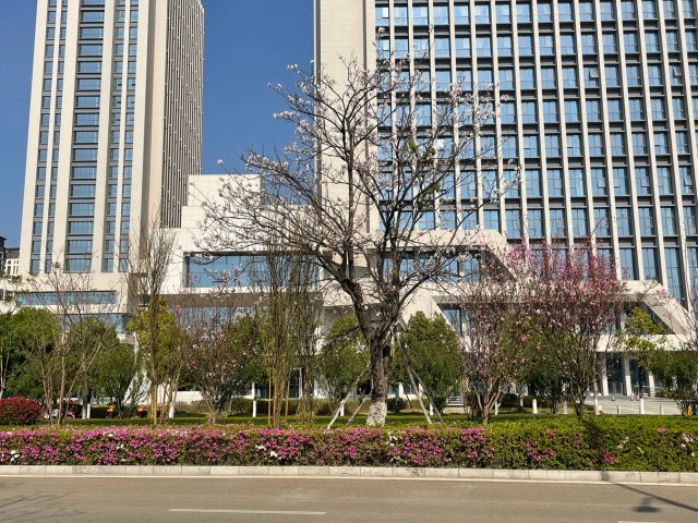 有一种叫云南的生活|云南的“宝藏绿化带”里可不只有迷迭香!