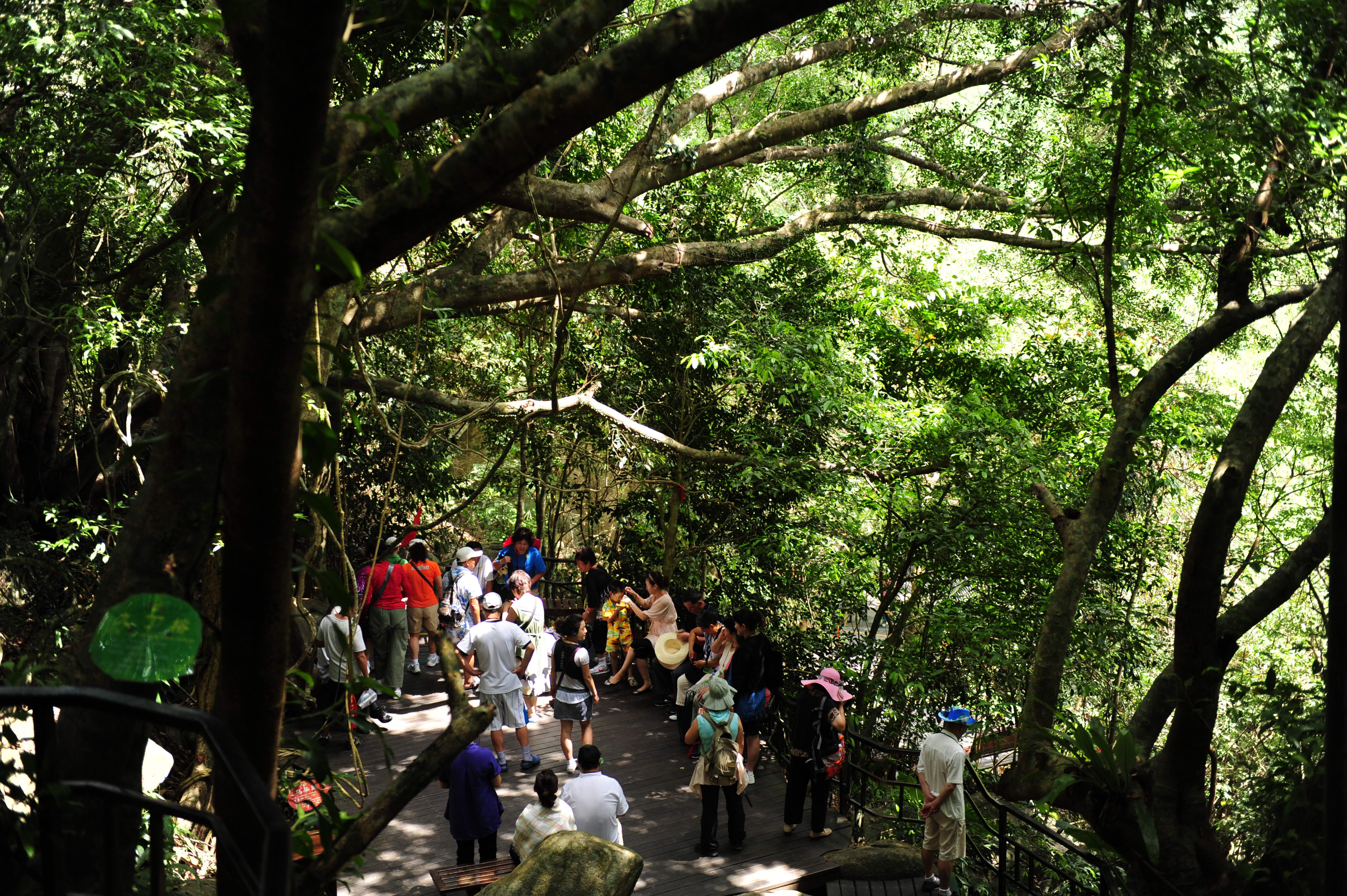 追光|海、陆、空!体育和自贸港更配哟