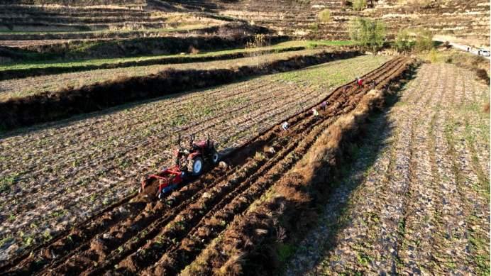 庄浪种植中药材,庄浪适合种药材吗