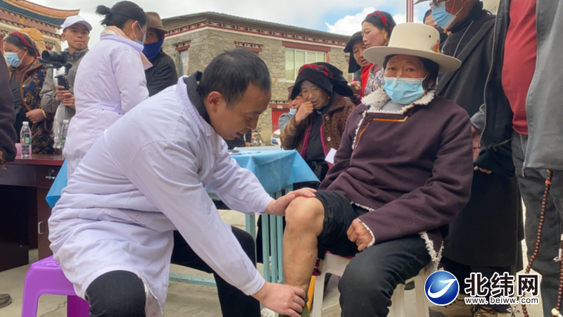 短腿安吉拉,安琪拉实力