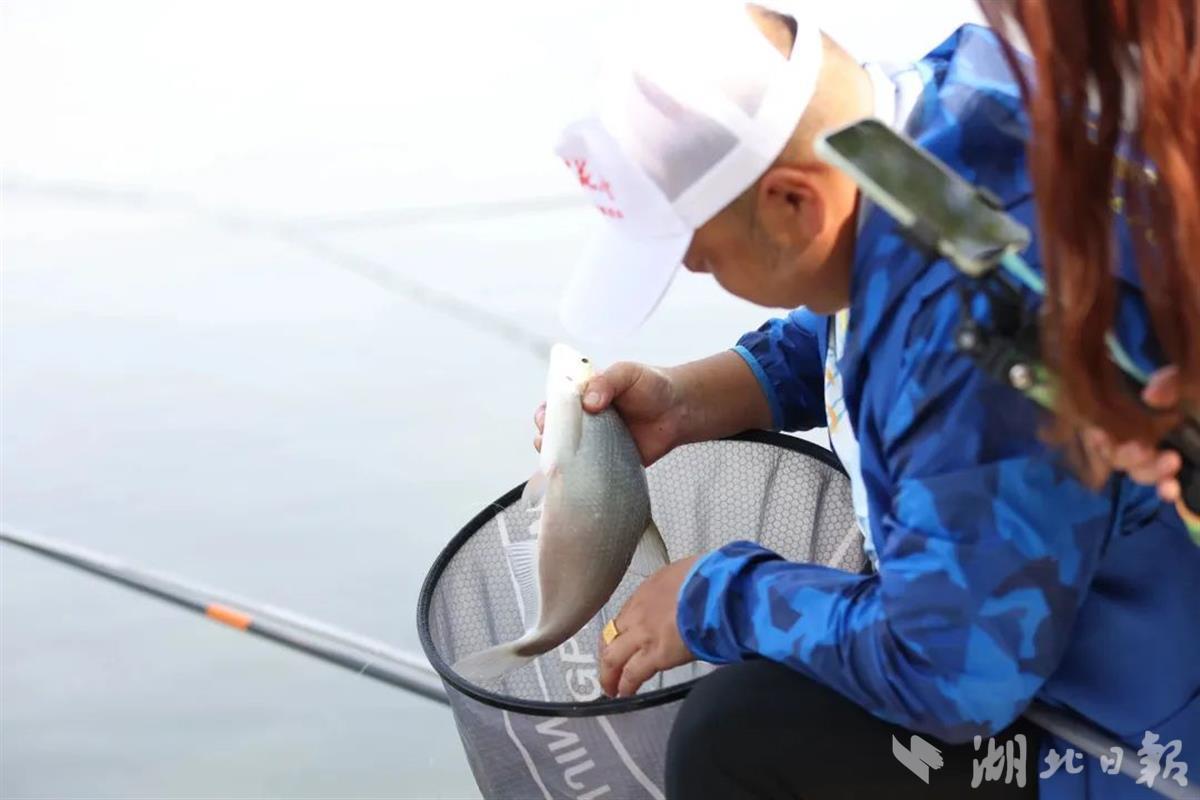 湖北一杆钓出百亿大产业,湖北钓鱼占比全国7成