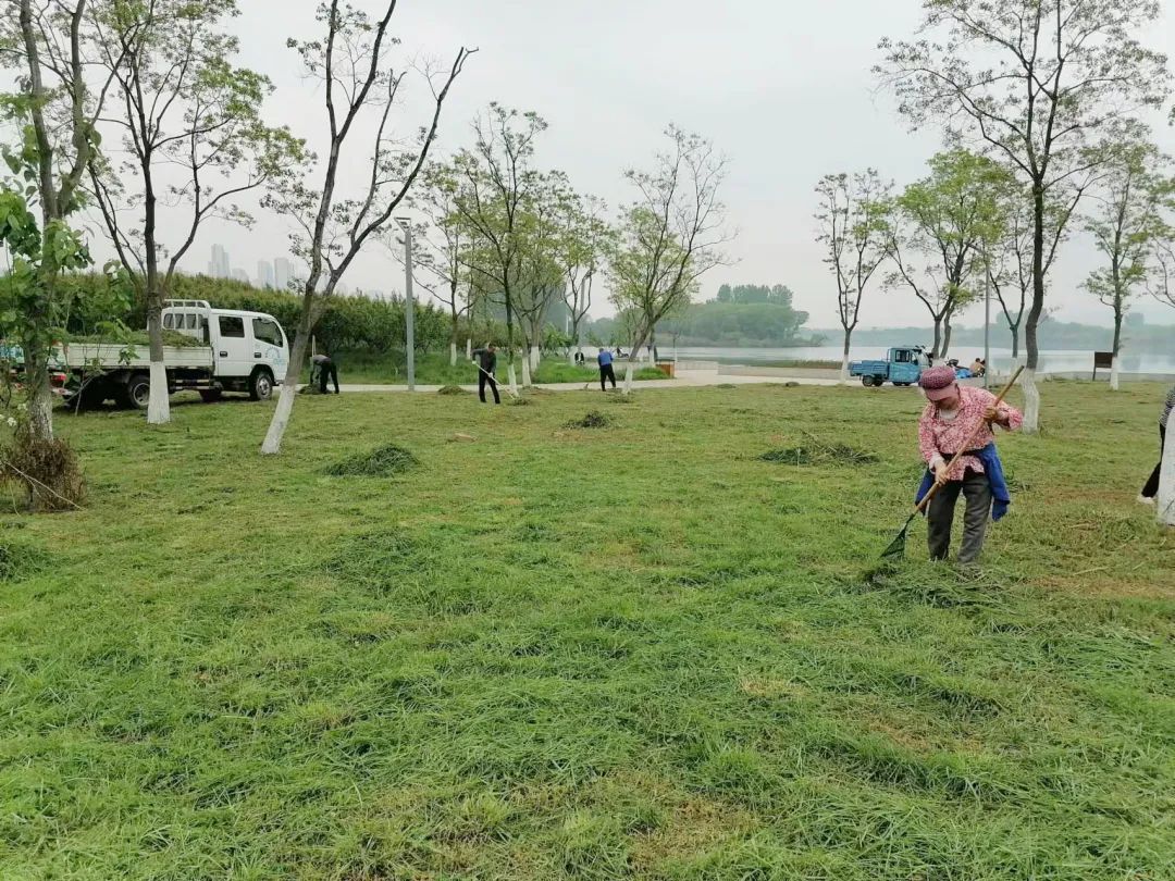 野在家门口，樊城首批共享城市绿地来了