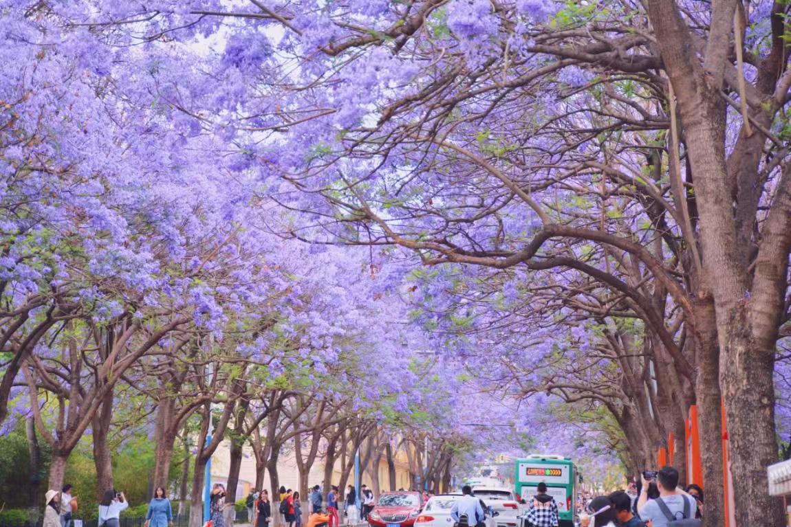 【开屏早知道】警惕这个电话！小编刚接了一个……