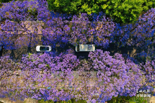 有一种云南的生活叫昆明,云南的昆明就是这么美