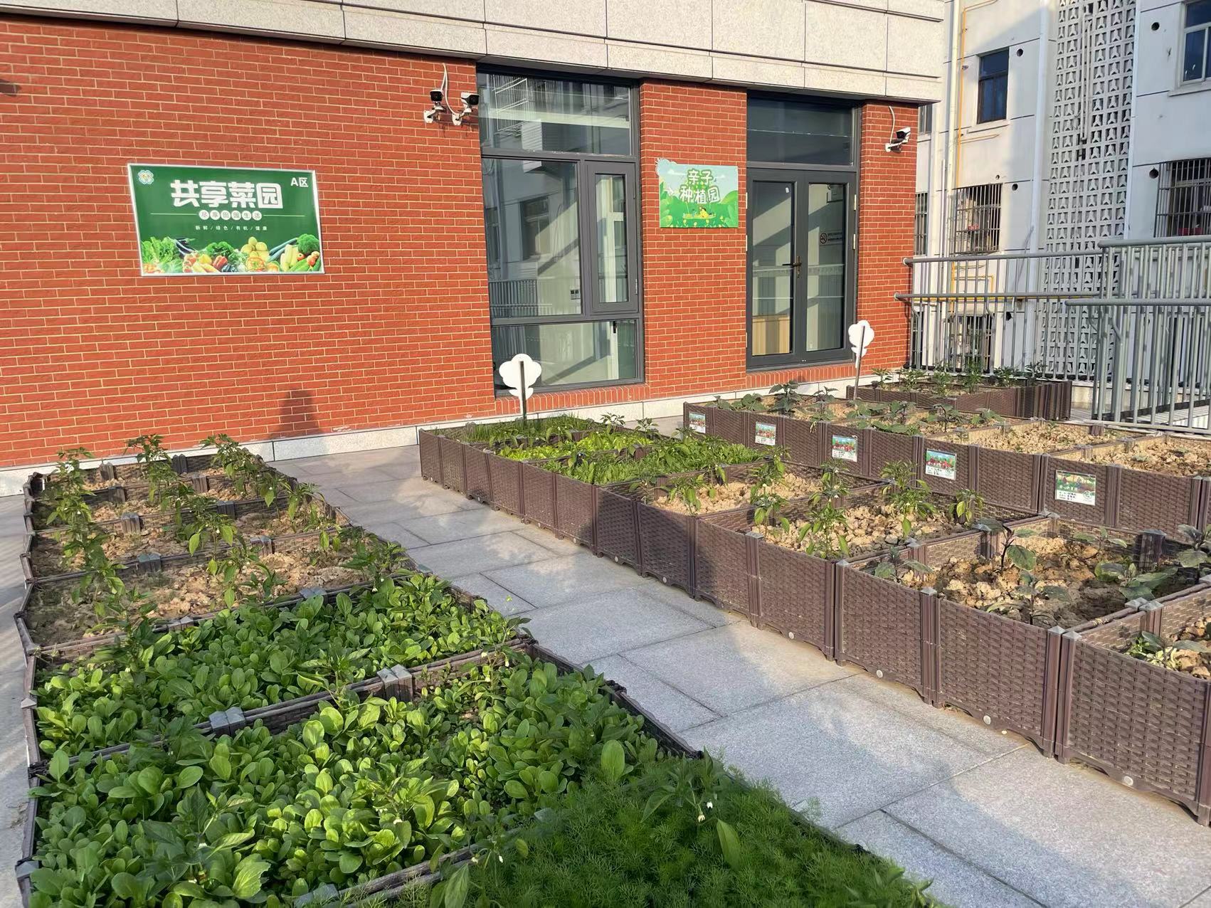 老旧小区改出新亮点新闻,旧小区改造成最好的房子