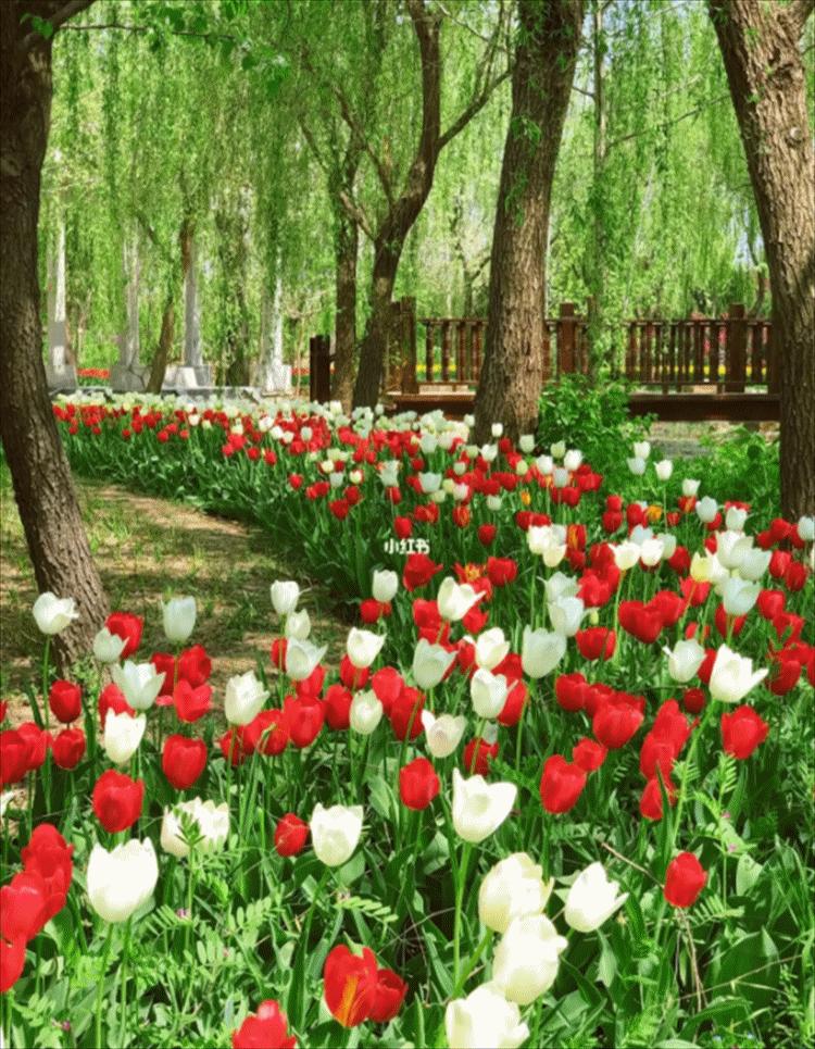 菏泽一日游旅游攻略,菏泽旅游攻略一日游