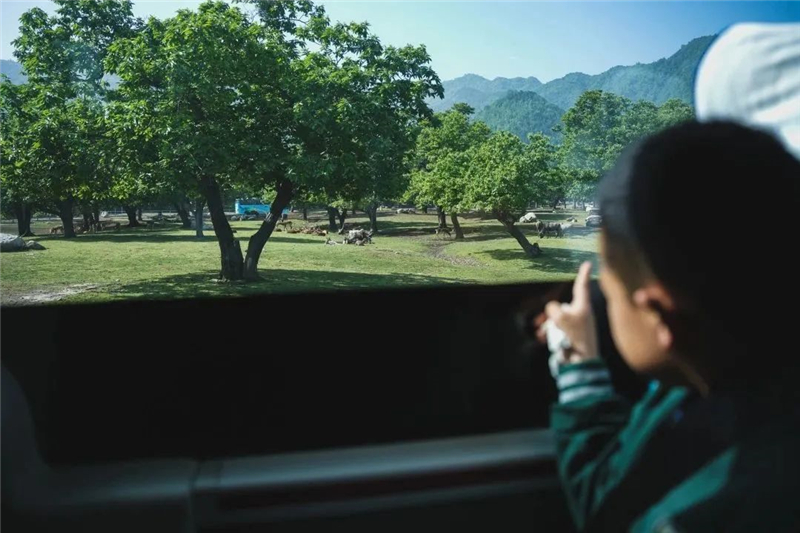 西航花园社会实践活动,西航三校小学一年级课程