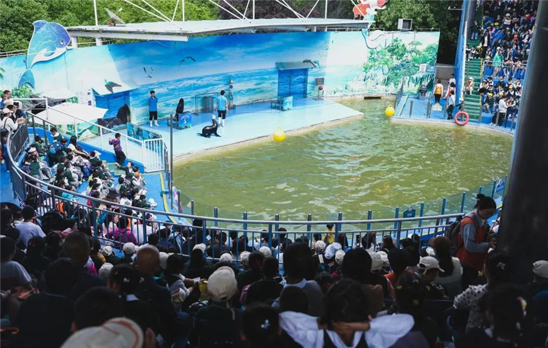 西航花园社会实践活动,西航三校小学一年级课程