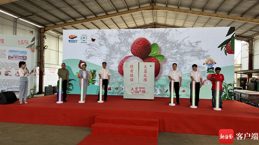 荔枝产销对接会,海口火山荔枝产销大会
