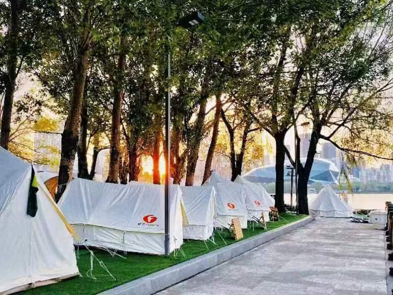 春天花正开沈阳正当时,春天花正开沈阳