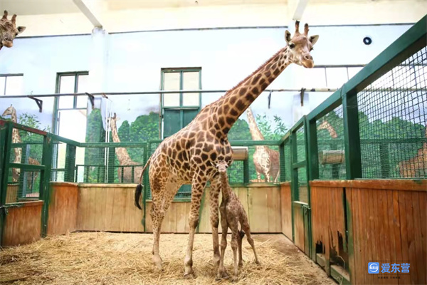 山东东营五一好去处,五一假期去哪玩山东东营西城