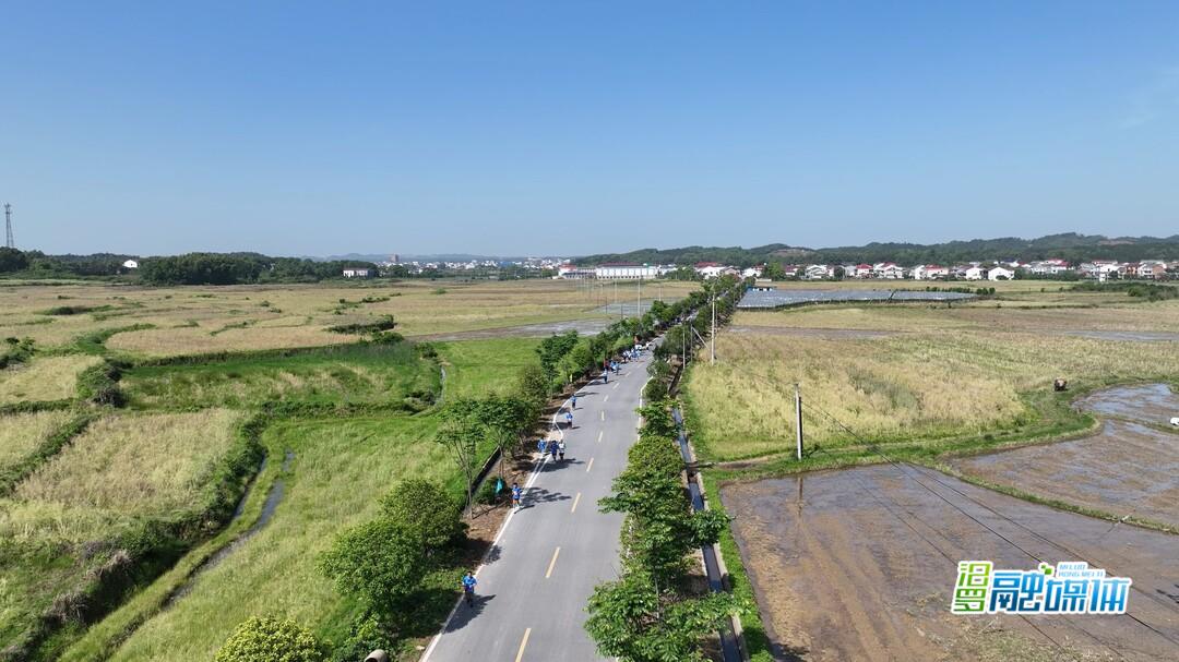 汨罗长乐“村马”开赛！奔跑中领略乡村魅力