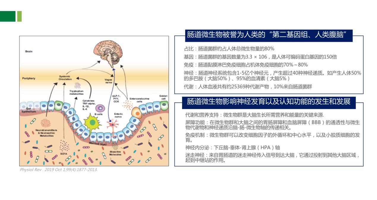 阿尔茨海默病研究获重大突破,临床研究证实,调节肠道菌群有望治疗神经退行性疾病