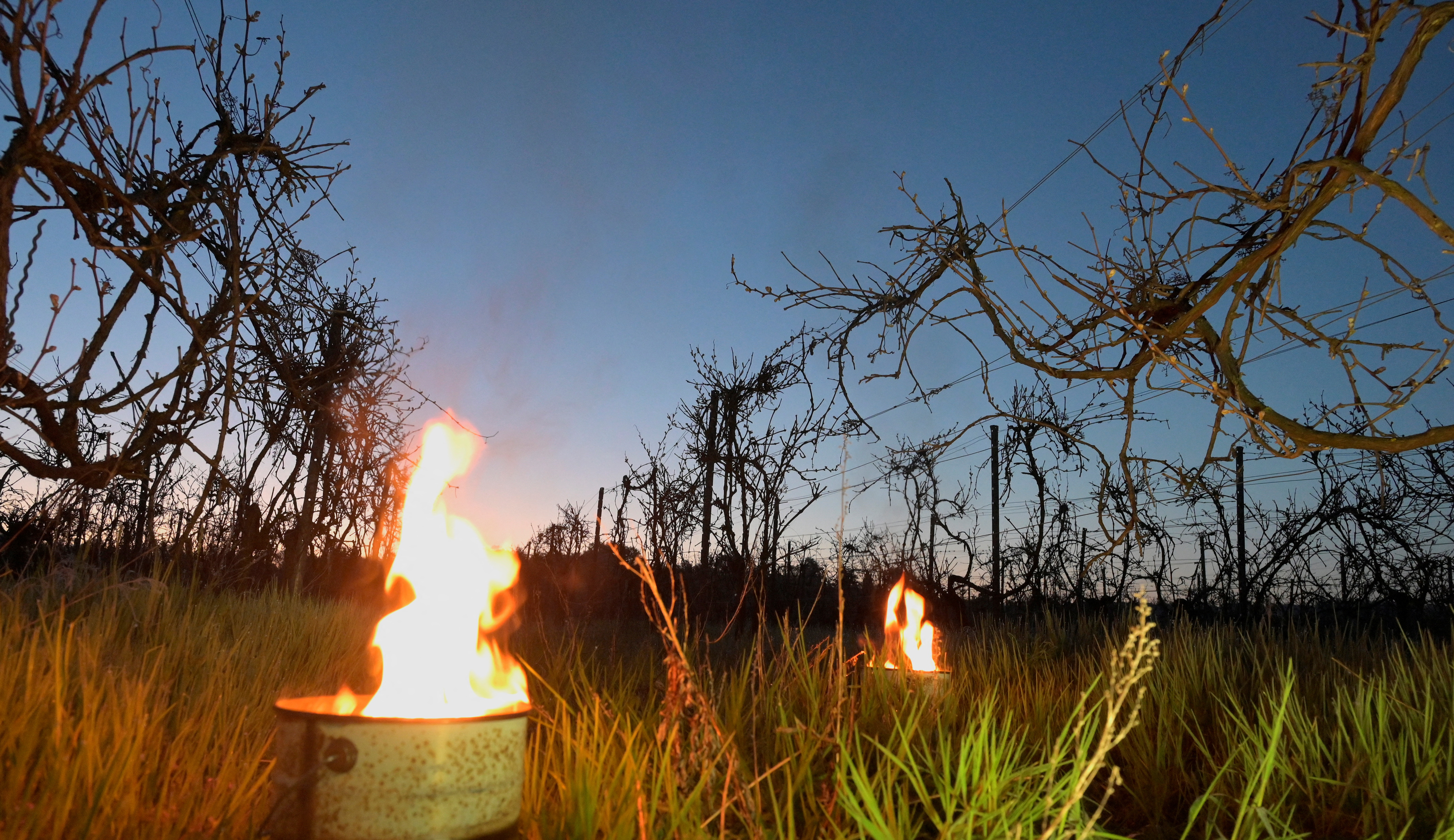 外代一线维也纳,外代一线西班牙