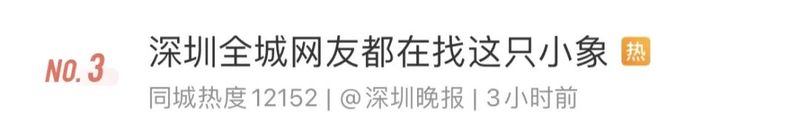 “深圳全城网友找小象”后续来了！深晚直接送！