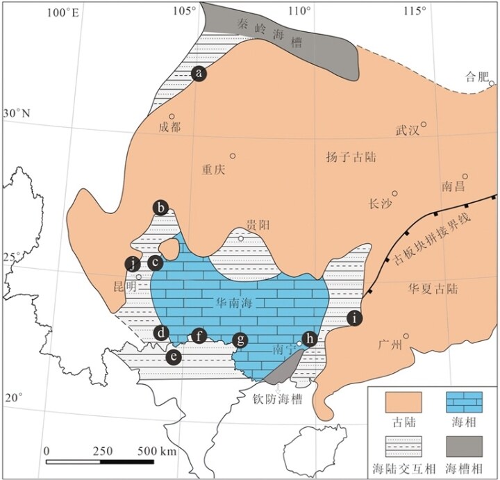 那块缺失的“拼图”——丘比特华南鱼