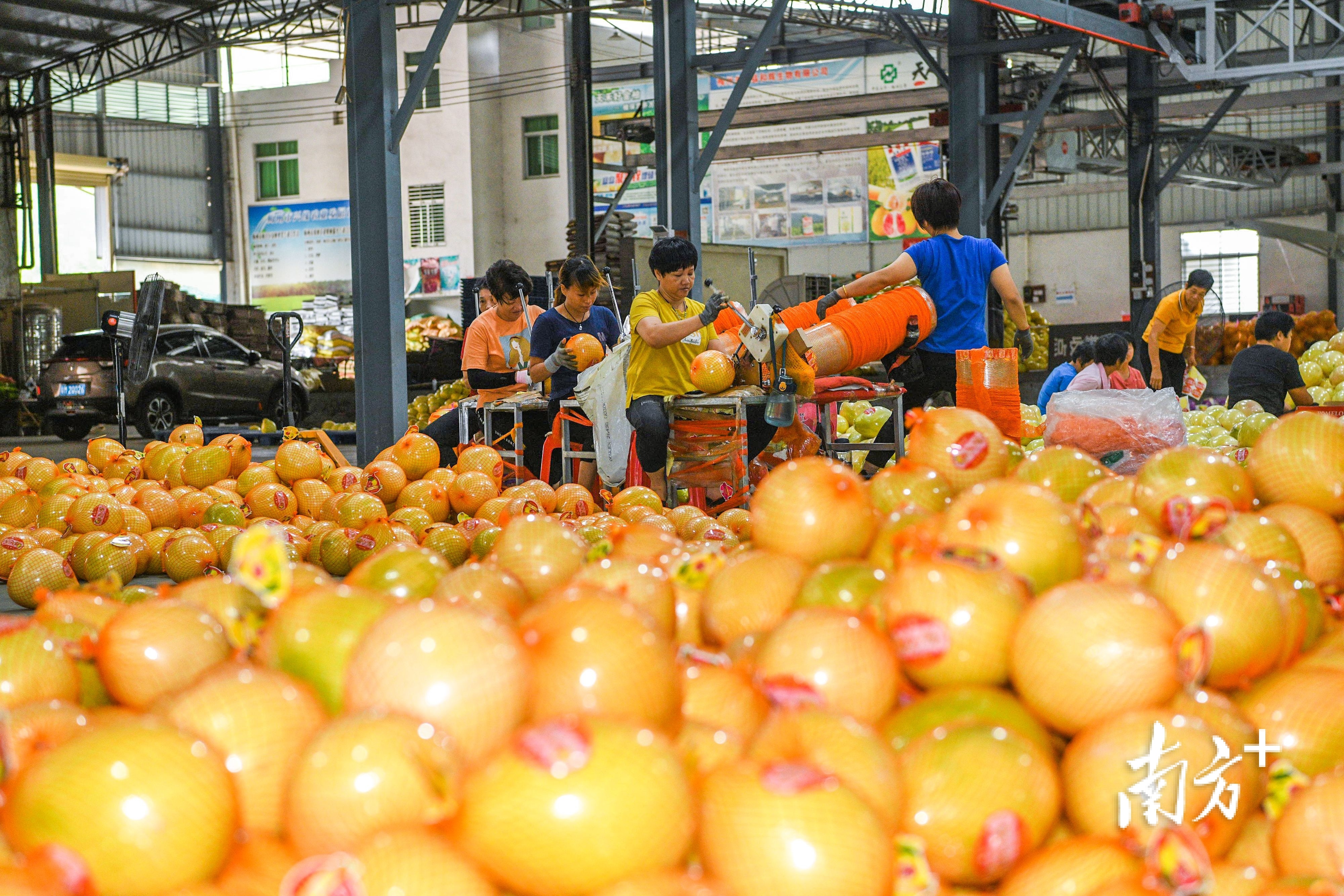 融湾入海，梅州市梅县区打造“中国铜箔之都”｜县委书记打擂台·第二季