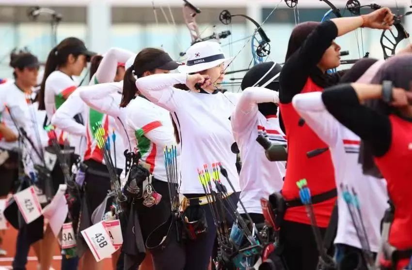 上海射箭世界杯赛程,2024上海国际射箭公开赛