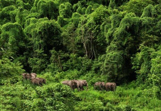 云南的西双版纳是什么样子,云南西双版纳是什么样的地方