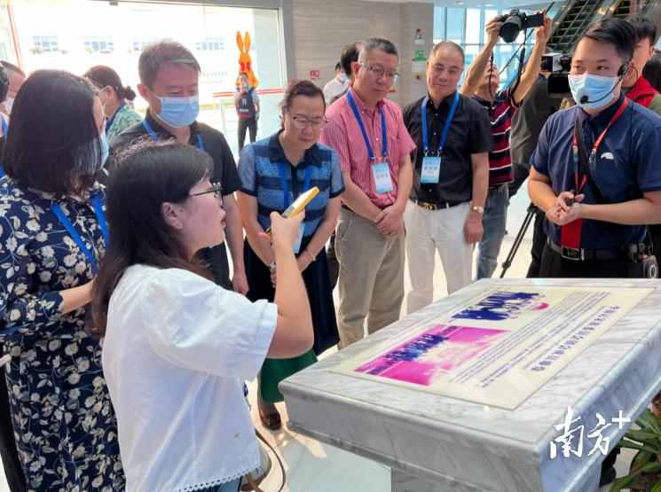 华媒看湾区|在小鸟天堂感受“绿”美广东