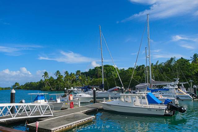 斐济南太平洋之旅,斐济之行游记