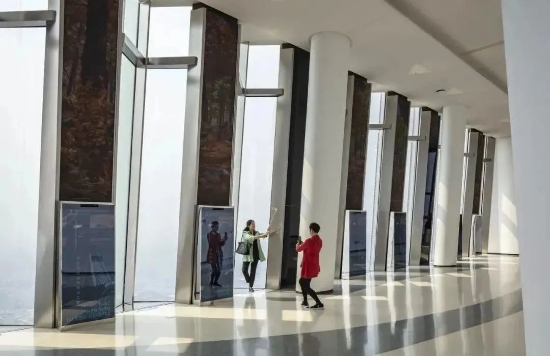 青春之城合集,青春之城后续