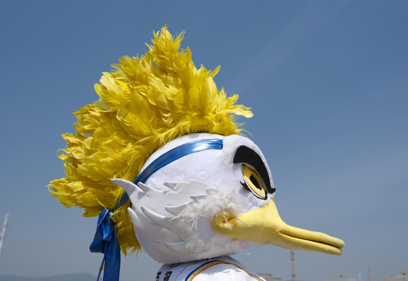 北京首钢霹雳鸭,首钢霹雳鸭