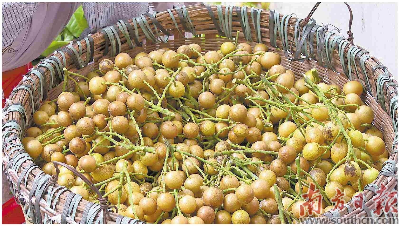 <html>
<head><title>502BadGateway</title></head>
<body>
<center><h1>502BadGateway</h1></center>
<hr><center>nginx</center>
</body>
</html>
<!--apaddingtodisableMSIEandChromefriendlyerrorpage-->
<!--apaddingtodisableMSIEandChromefriendlyerrorpage-->
<!--apaddingtodisableMSIEandChromefriendlyerrorpage-->
<!--apaddingtodisableMSIEandChromefriendlyerrorpage-->
<!--apaddingtodisableMSIEandChromefriendlyerrorpage-->
<!--apaddingtodisableMSIEandChromefriendlyerrorpage-->
