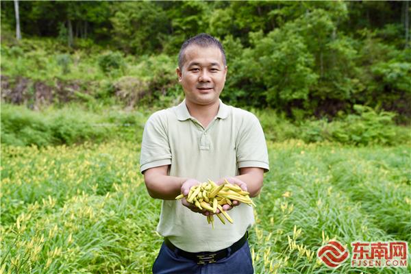 冯爱明：让“小黄花”成为“致富花”