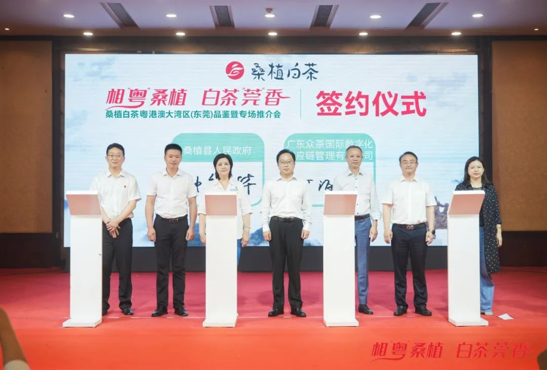 东莞藏茶之都值得收藏的十款茶,藏茶之都茶叶