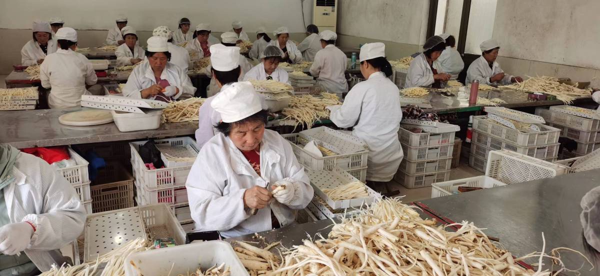 合伙人思维,合伙人创新思维