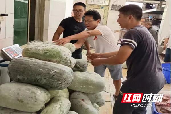 把论文写在大地，让梦想之花开遍乡野——洞口县职业中专学校“双向奔赴”促乡村振兴纪实