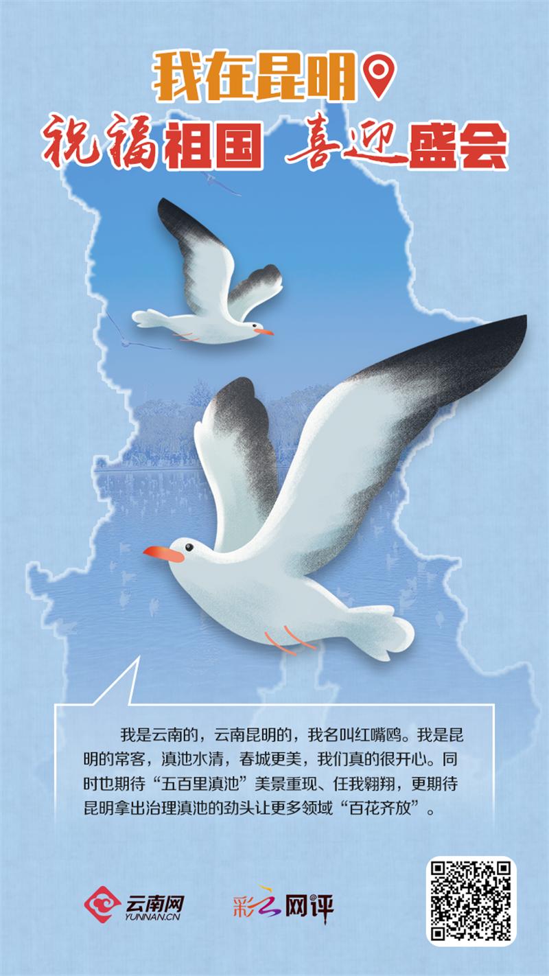 云南社会责任,云南日报社会责任报告