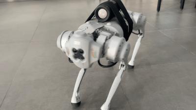 杩藉厜鐨勬満鍣ㄤ汉,杩借鏈哄櫒鐙椾簹杩愪細