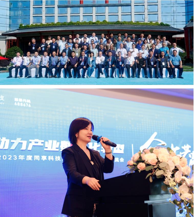 金盘科技集团,中国金盘科技