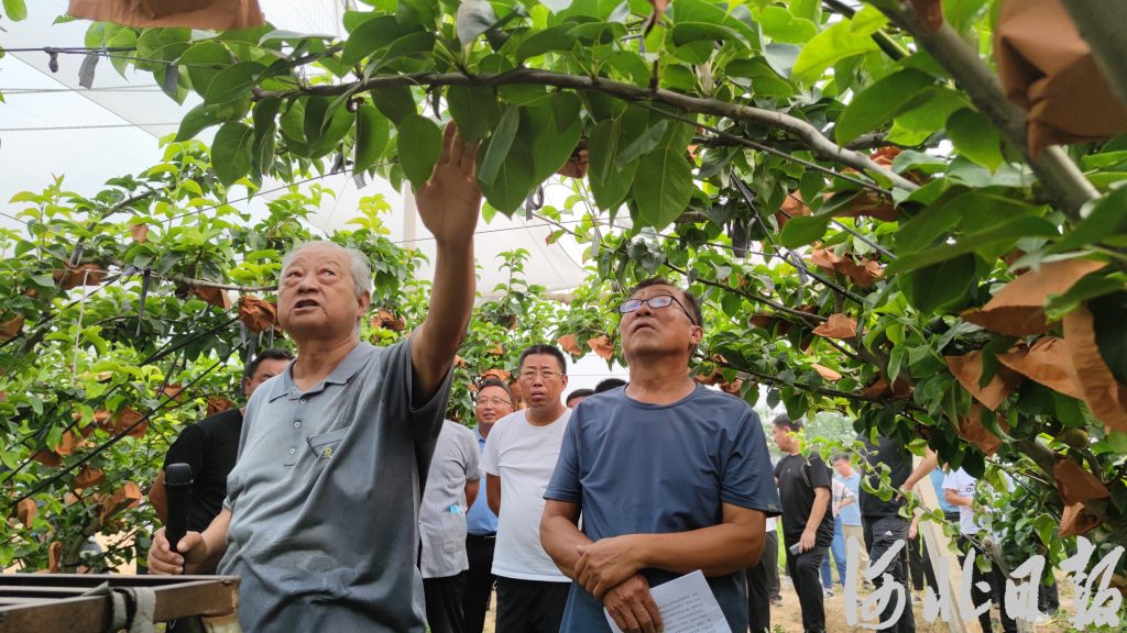 有了初心，就是一辈子的事——追记“燕赵楷模”、河北“新时代离退休干部的模范”曲宪忠