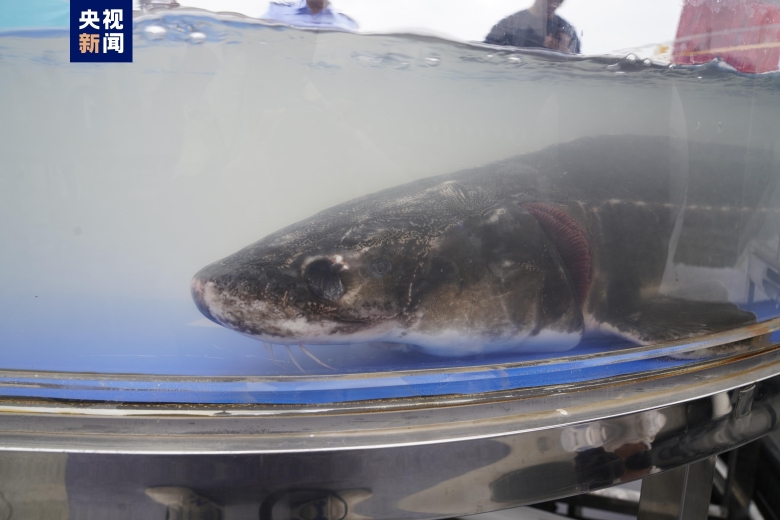 广东拟出电动自行车新规,广州电动自行车拟上牌新国标