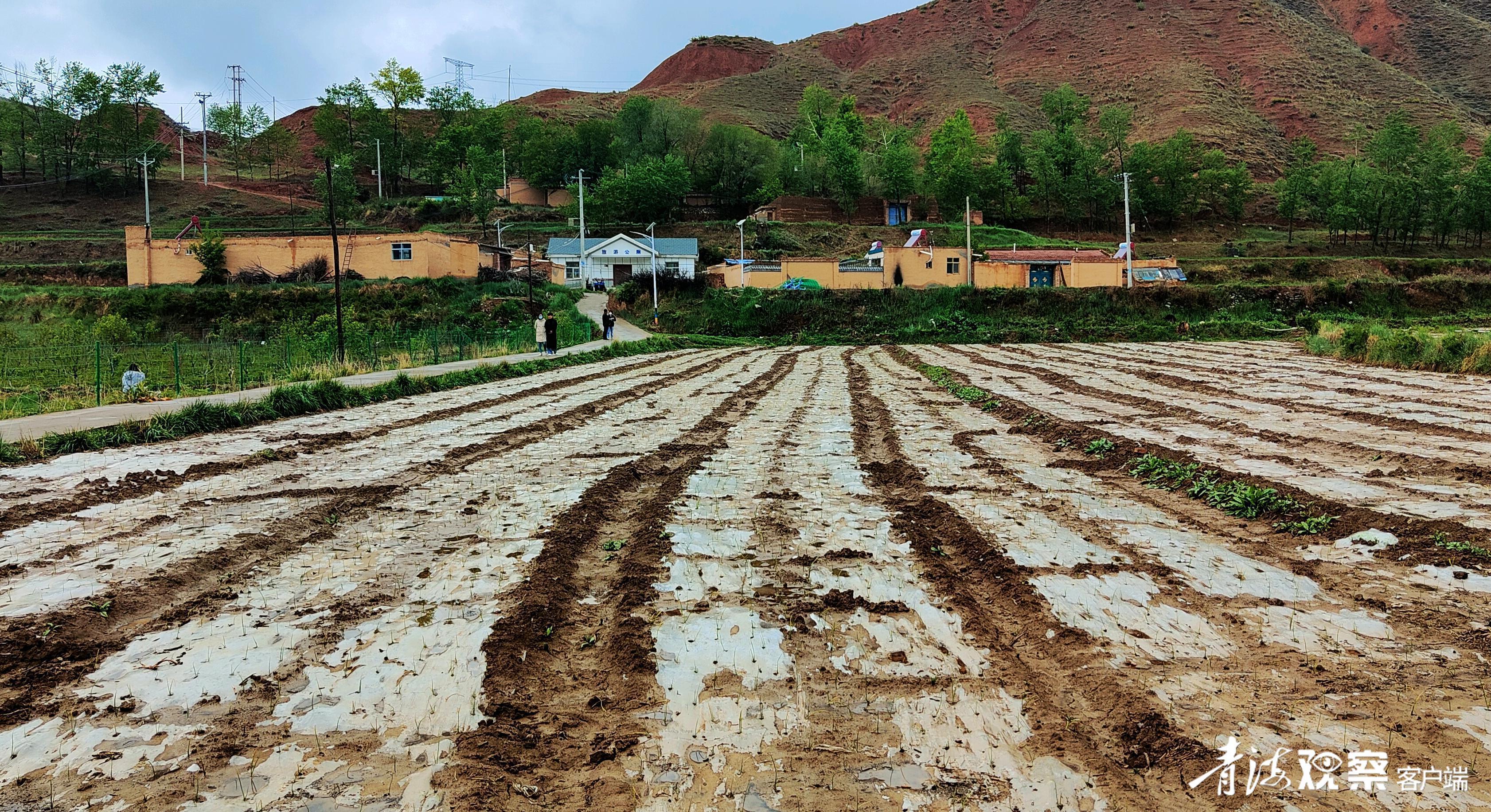 班彦:由“有”到“优”,幸福升级