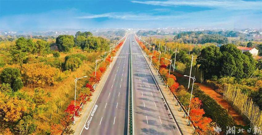 蔡甸即将入选的村,蔡甸区十强镇