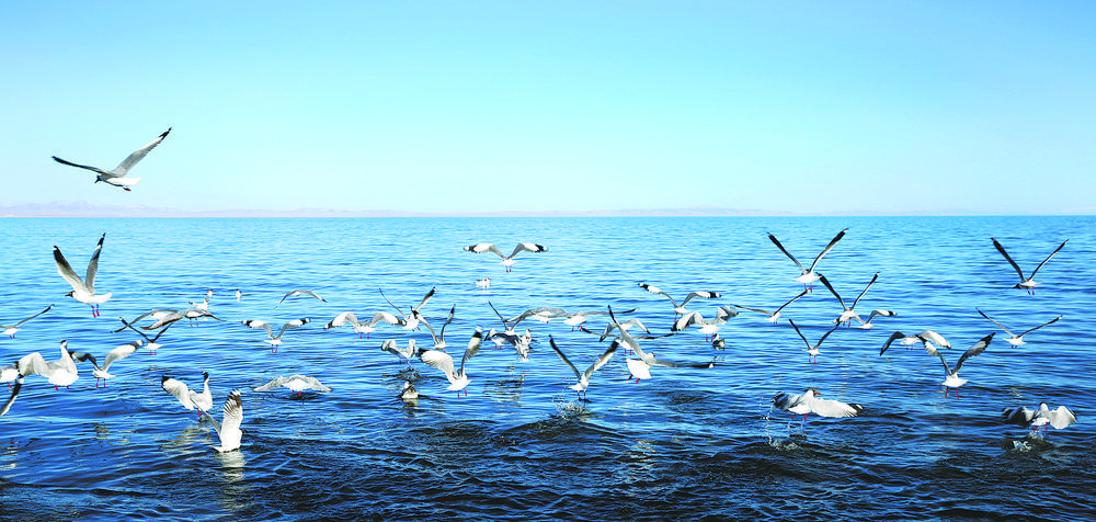 青海湖到西北大环线,青海湖向西沿途景点