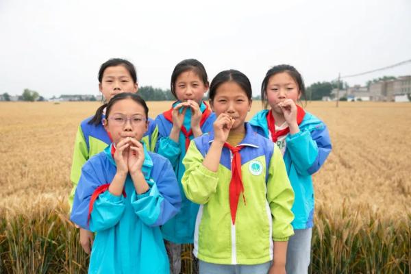 收麦子农民工干活,少年农村路上开拖拉机收小麦