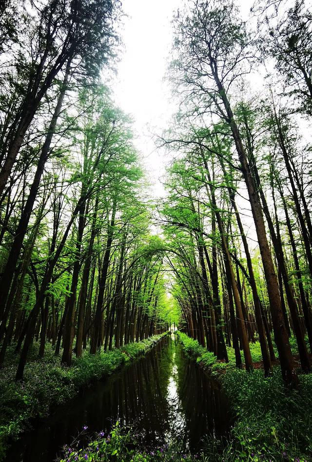 苏中自驾游‖这座城存下了我的一份醉心