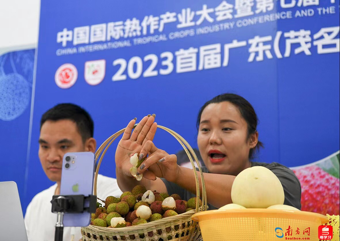 高质量发展调研行引热议,调研高质量发展步骤