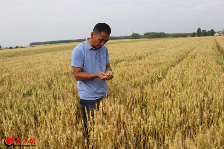 平度市贾宗会,平度贾宗会