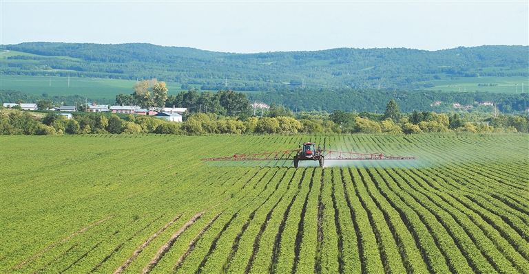 哈洽时间｜逊克打造祖国北陲“兴业富民”新家园