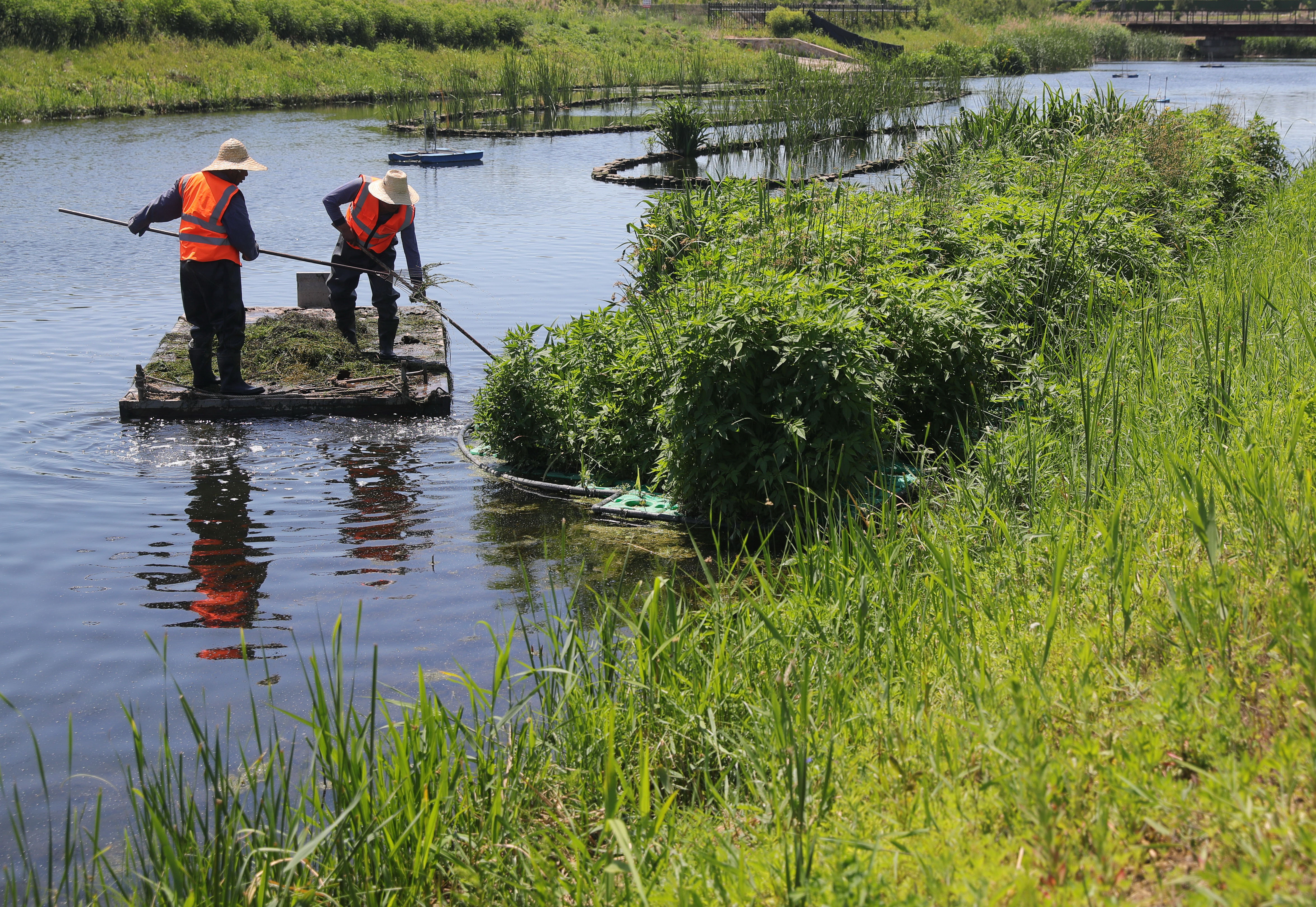 秦皇岛国家森林城市规划,秦皇岛河北环境工程